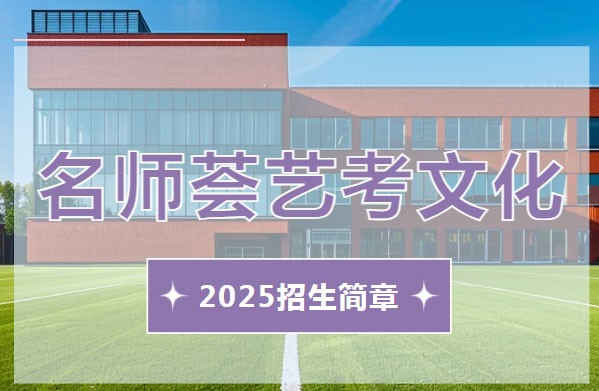 2025届名师荟艺考文化冲刺班