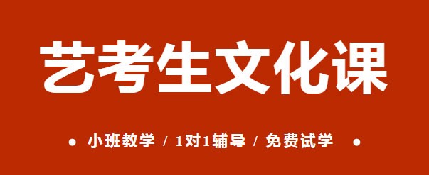 2025届成都赢星艺考生文化课冲刺班