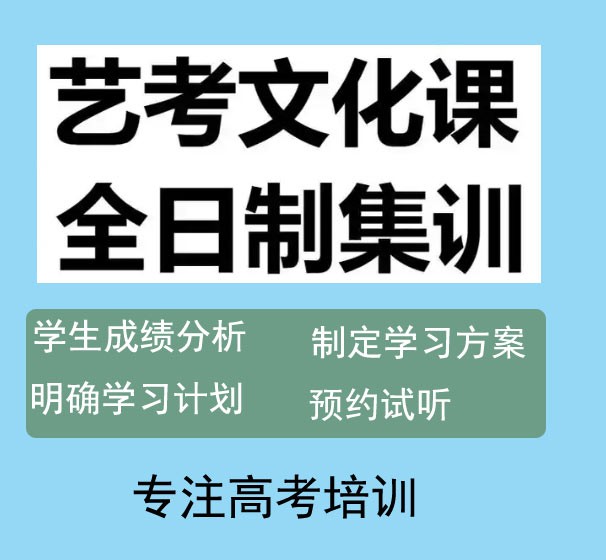 广州叁人行2025届艺考文化课